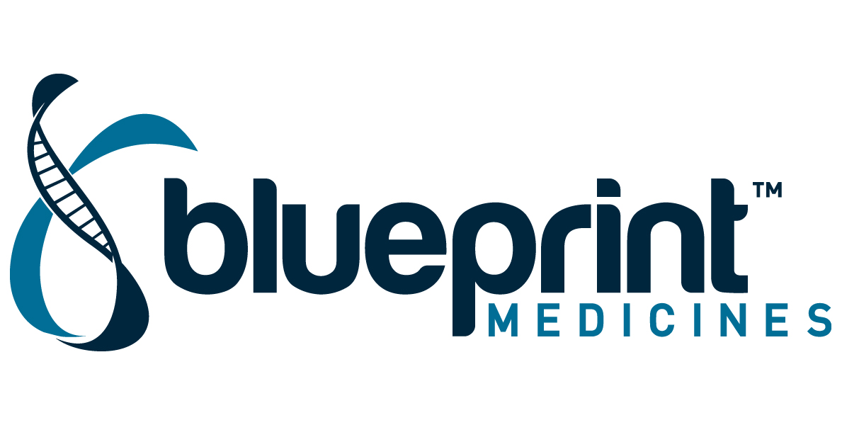 Blueprint_Logo_Nemedchem